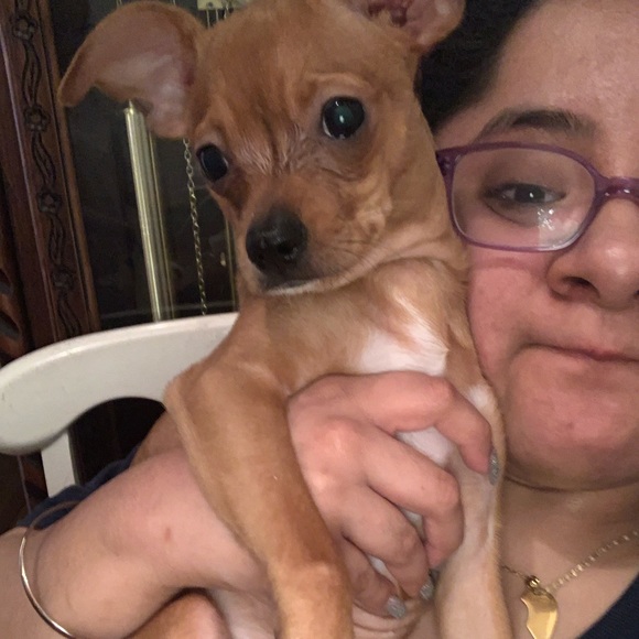 Meet your Posher, Eliazaeliazar - Picture 2 of 3